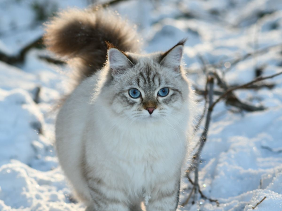 Ci prendiamo cura dei nostri cuccioli fin dal loro primo giorno di vita