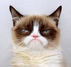 White venduto foto 1