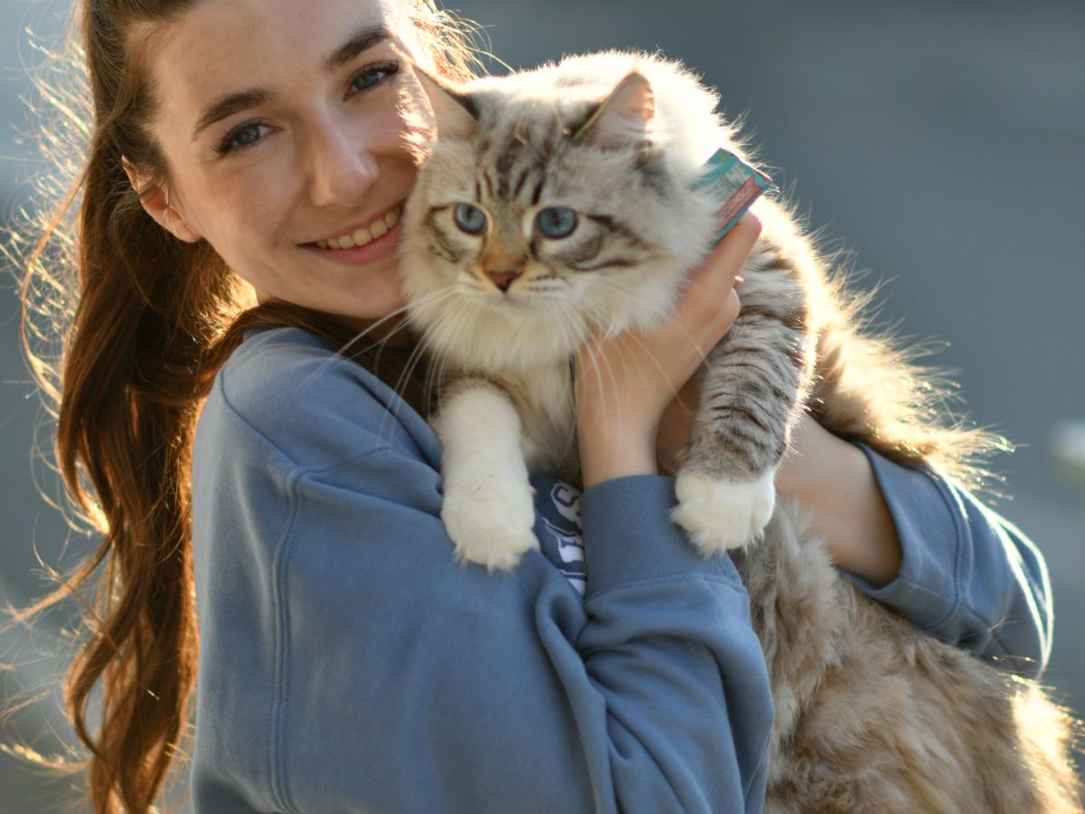 Come è nato Imperial Line