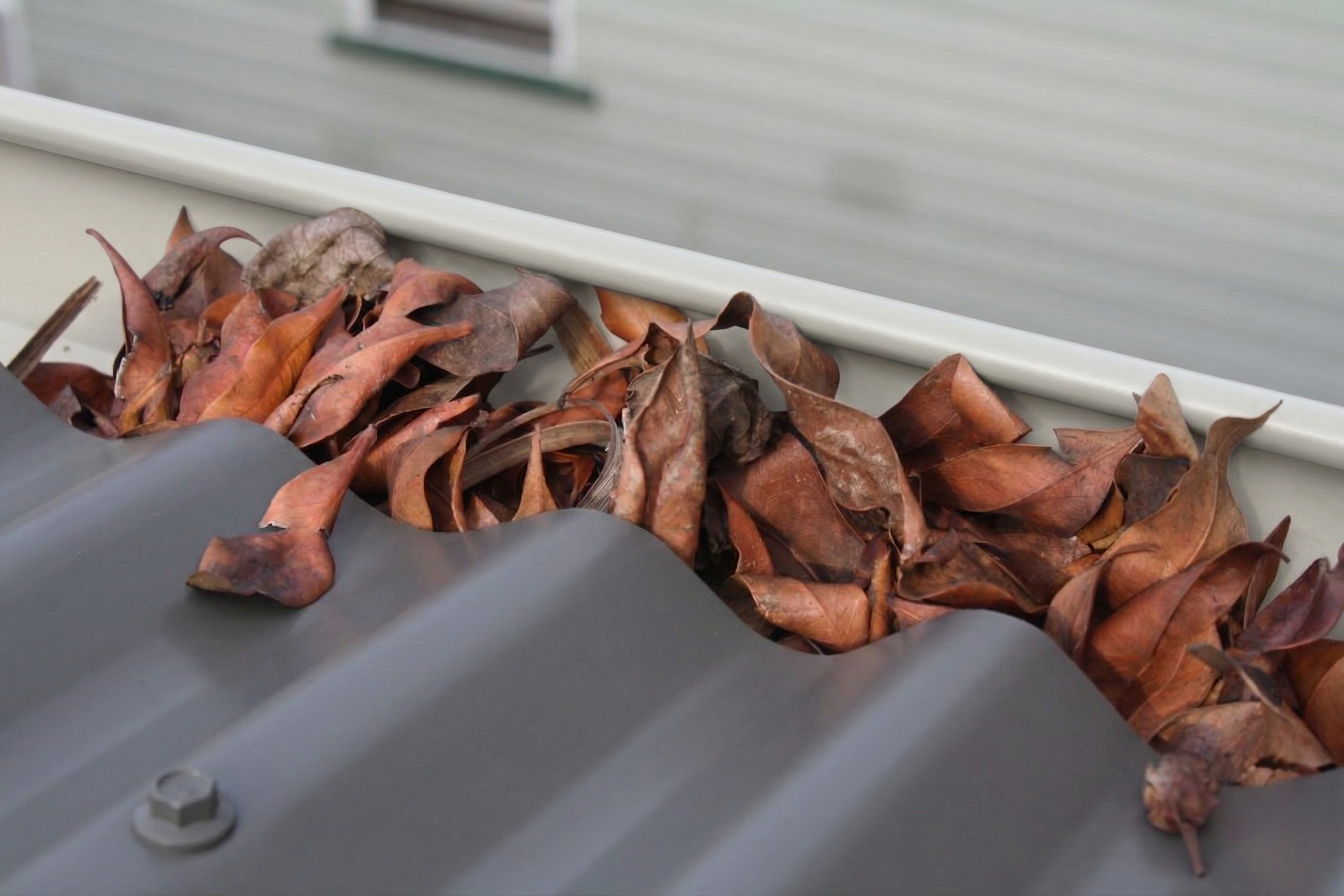 Image for Leaf and debris protection