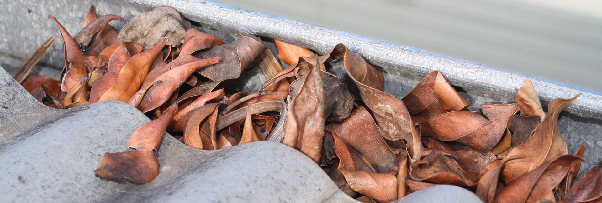 Gutters: The First Line of Home Defence?