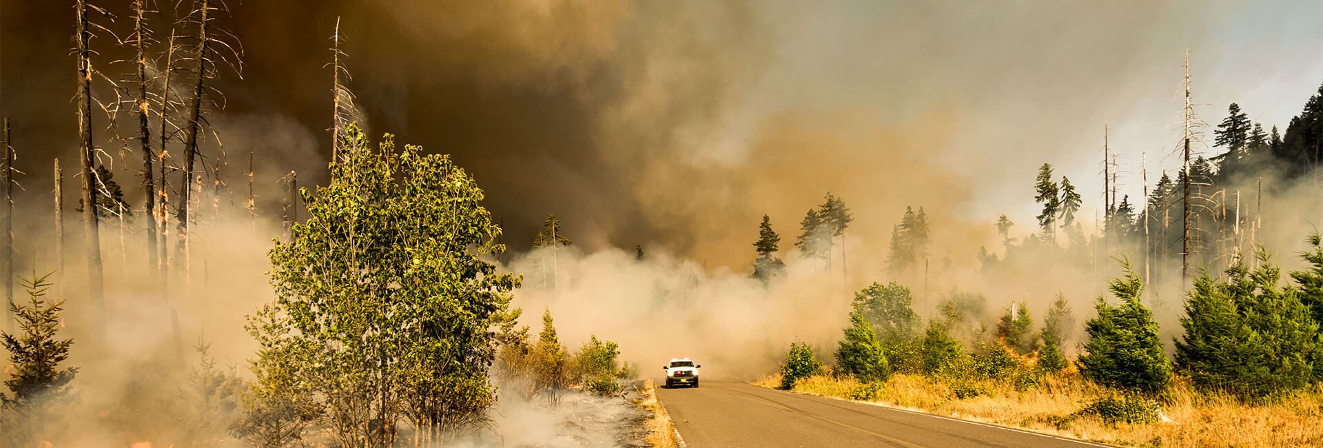 Bushfire-Proofing Your Gutters