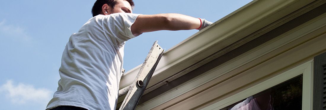 Minimise Gutter Maintenance & Ladder Falls with Gutter Mesh