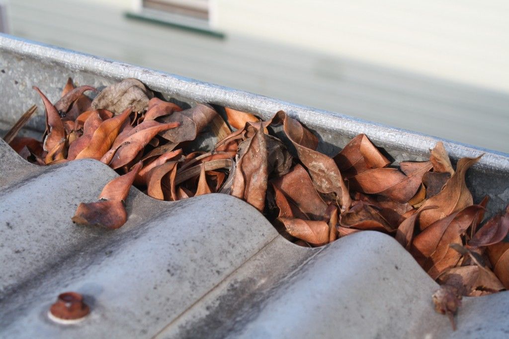 Image for Leaf and debris protection