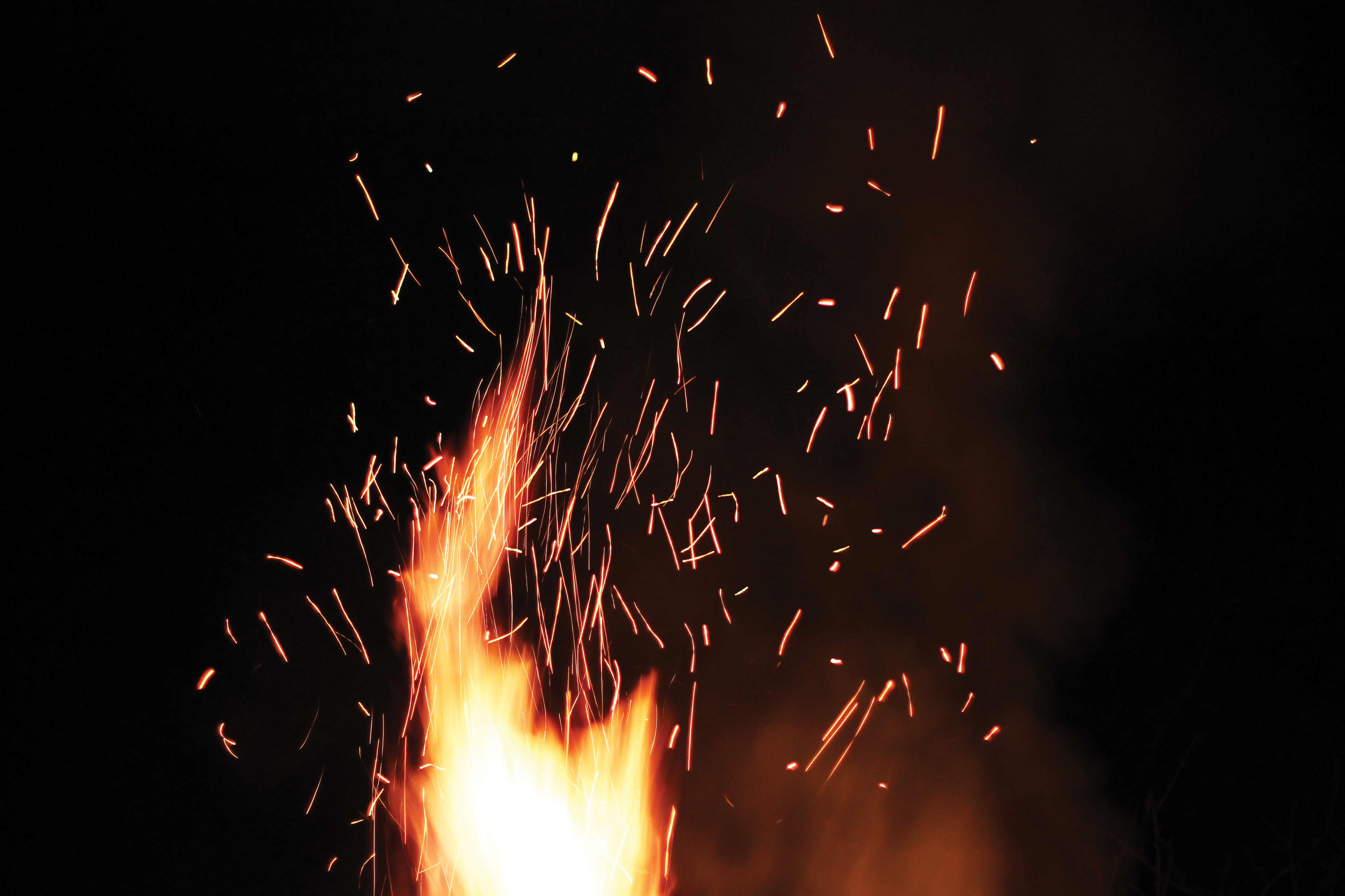 Image for Bushfire and ember guarding