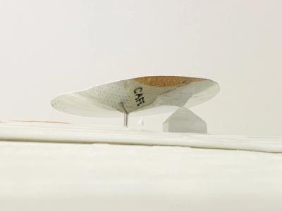 182_ph_01-1