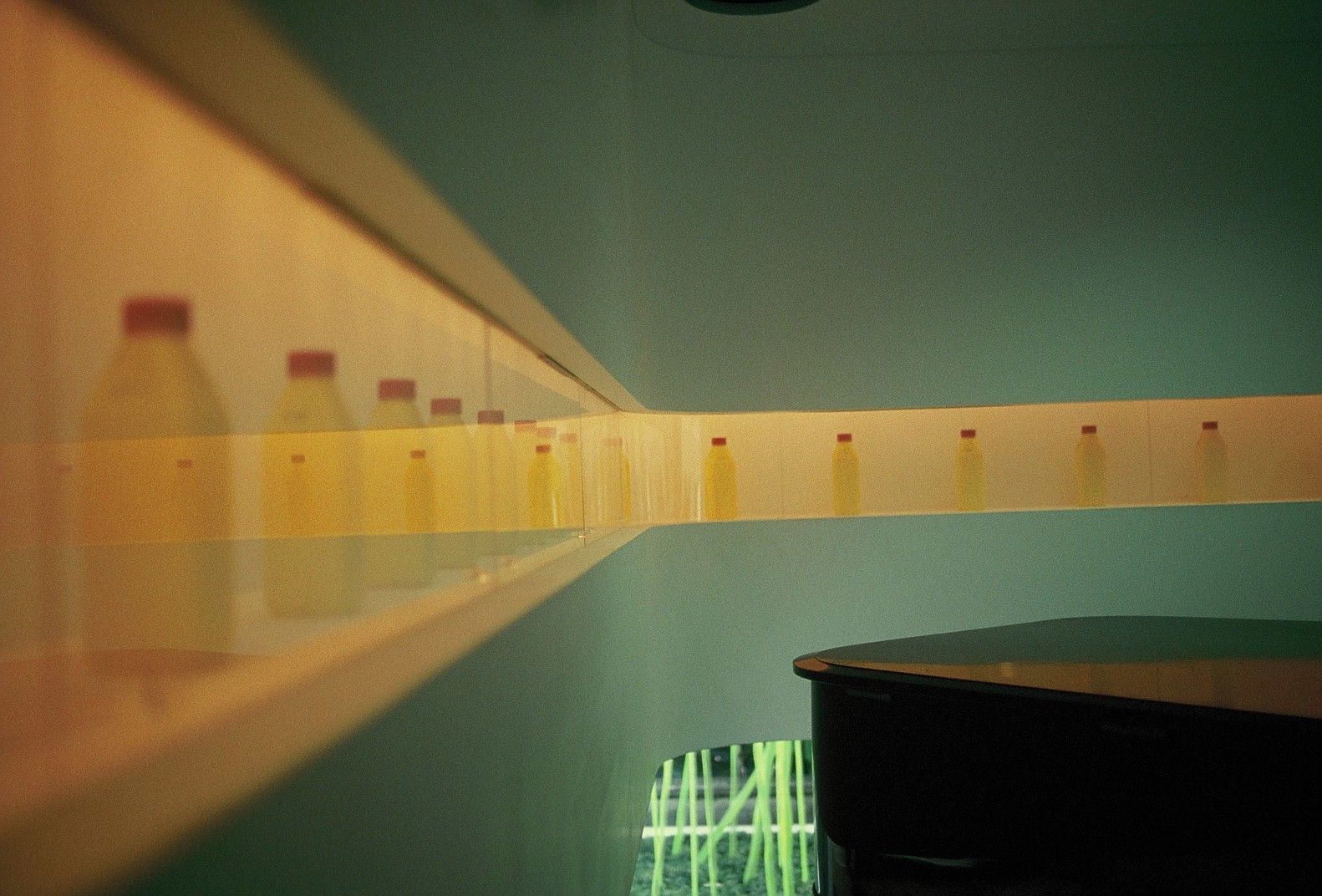 016_ph_02-221