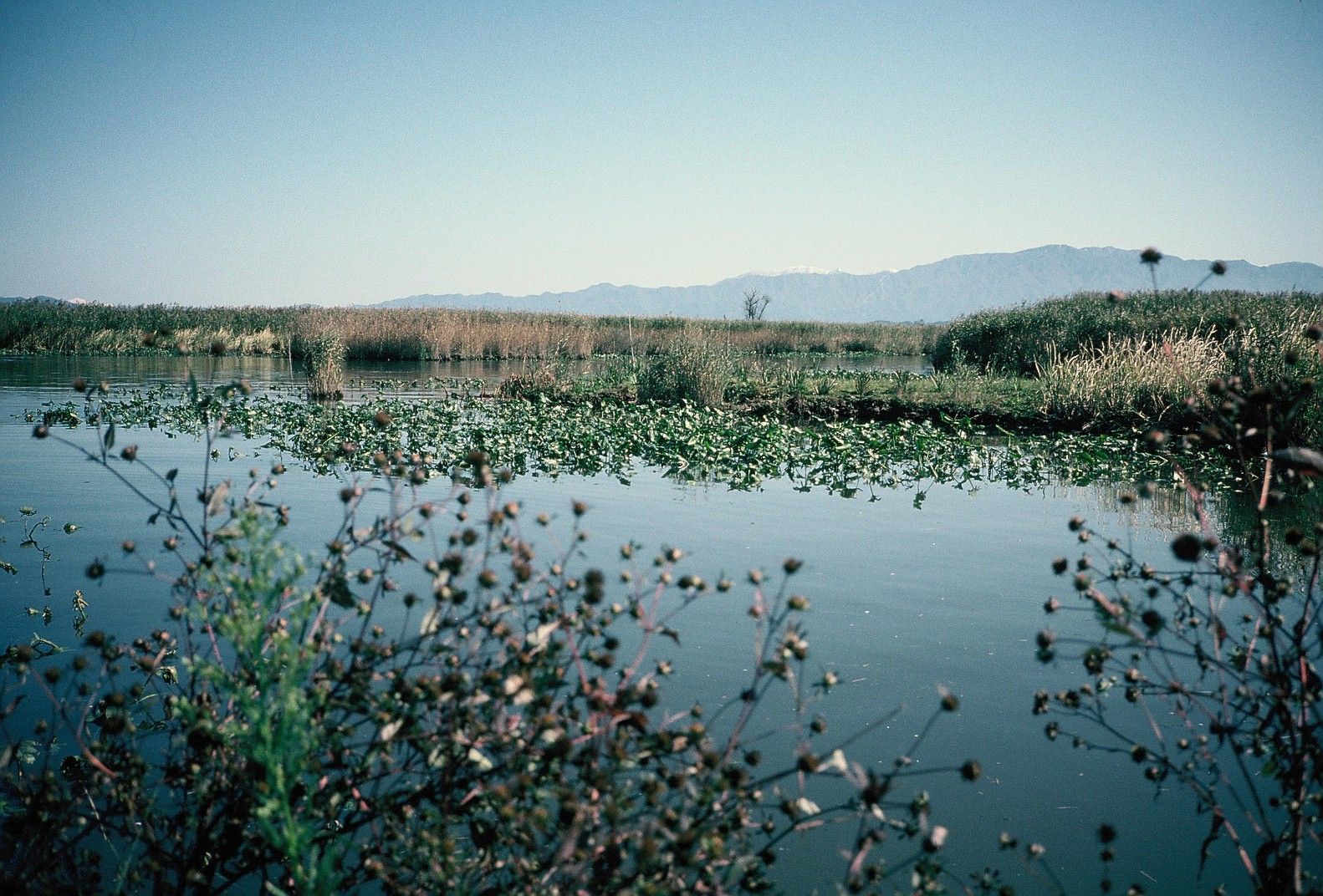 019_ph_13-19