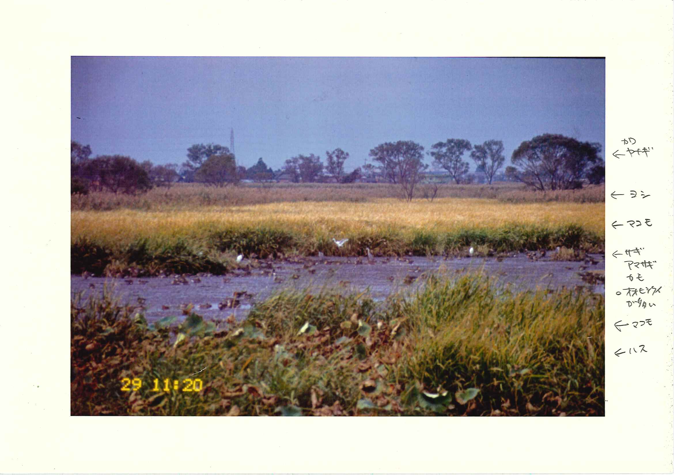 019_ph_13-9