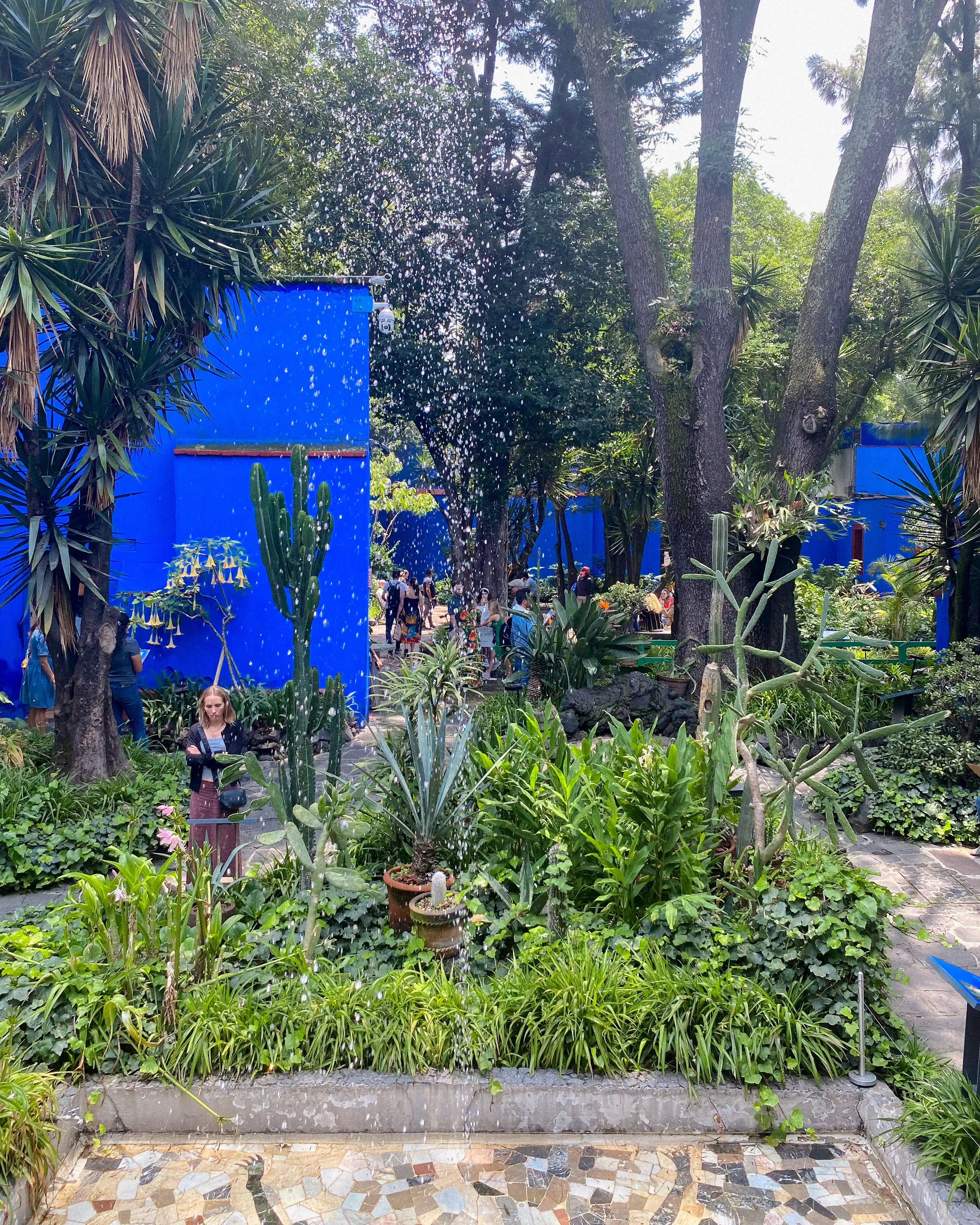 Museo Frida Kahlo