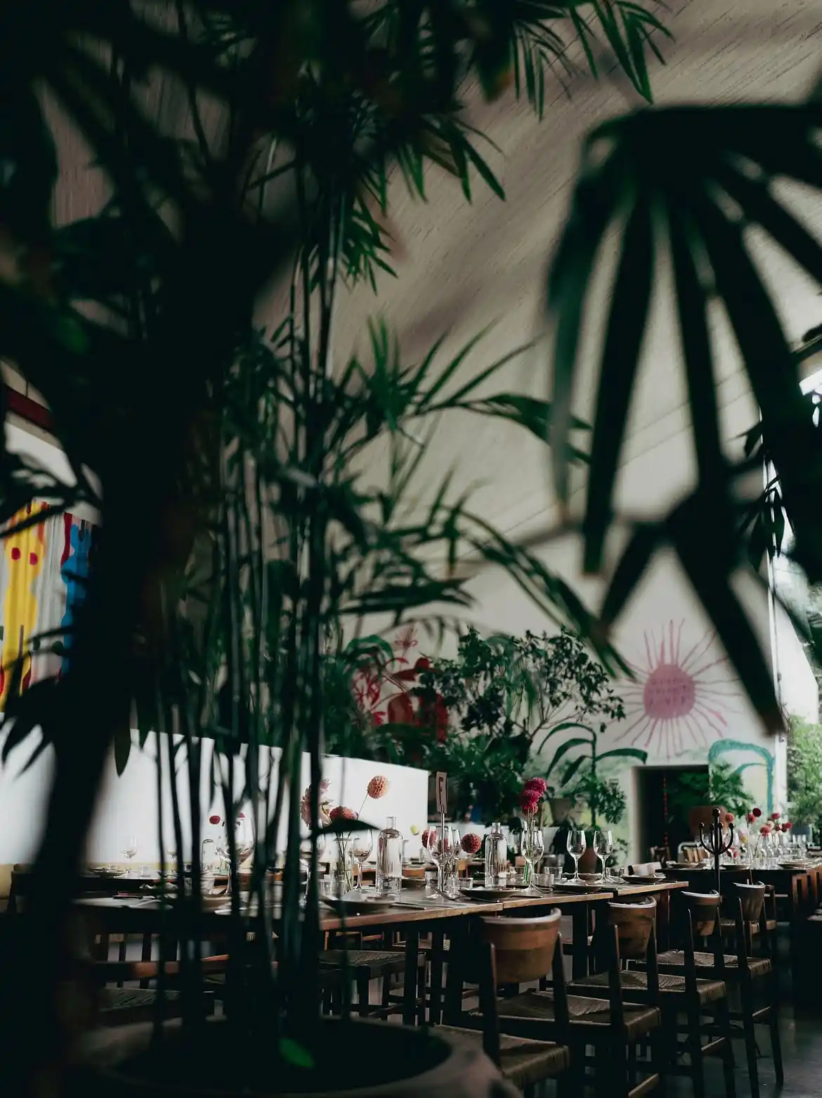 LagoAlgo — The Cool List to Mexico City
