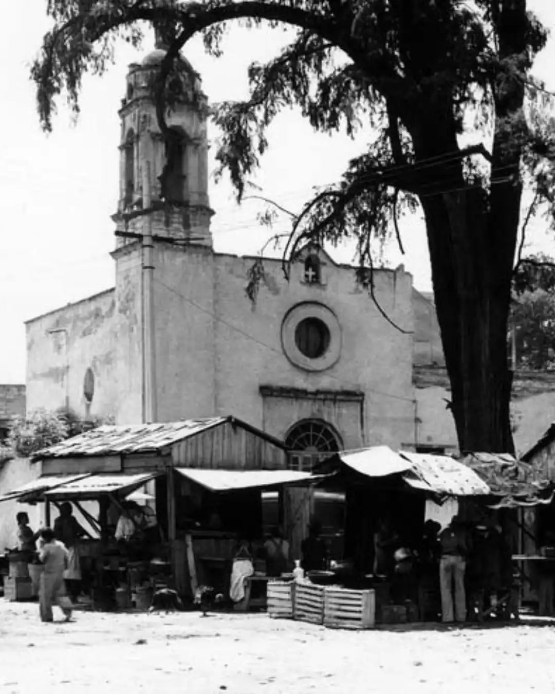Santa Casa by Tasman