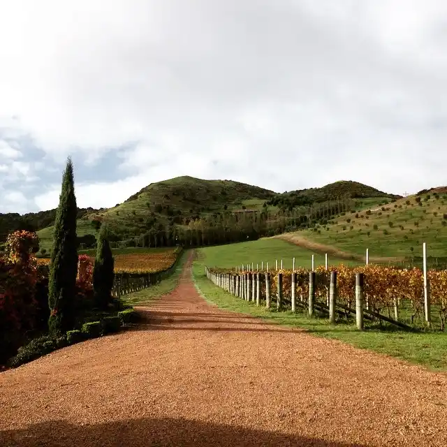 Poderi Crisci