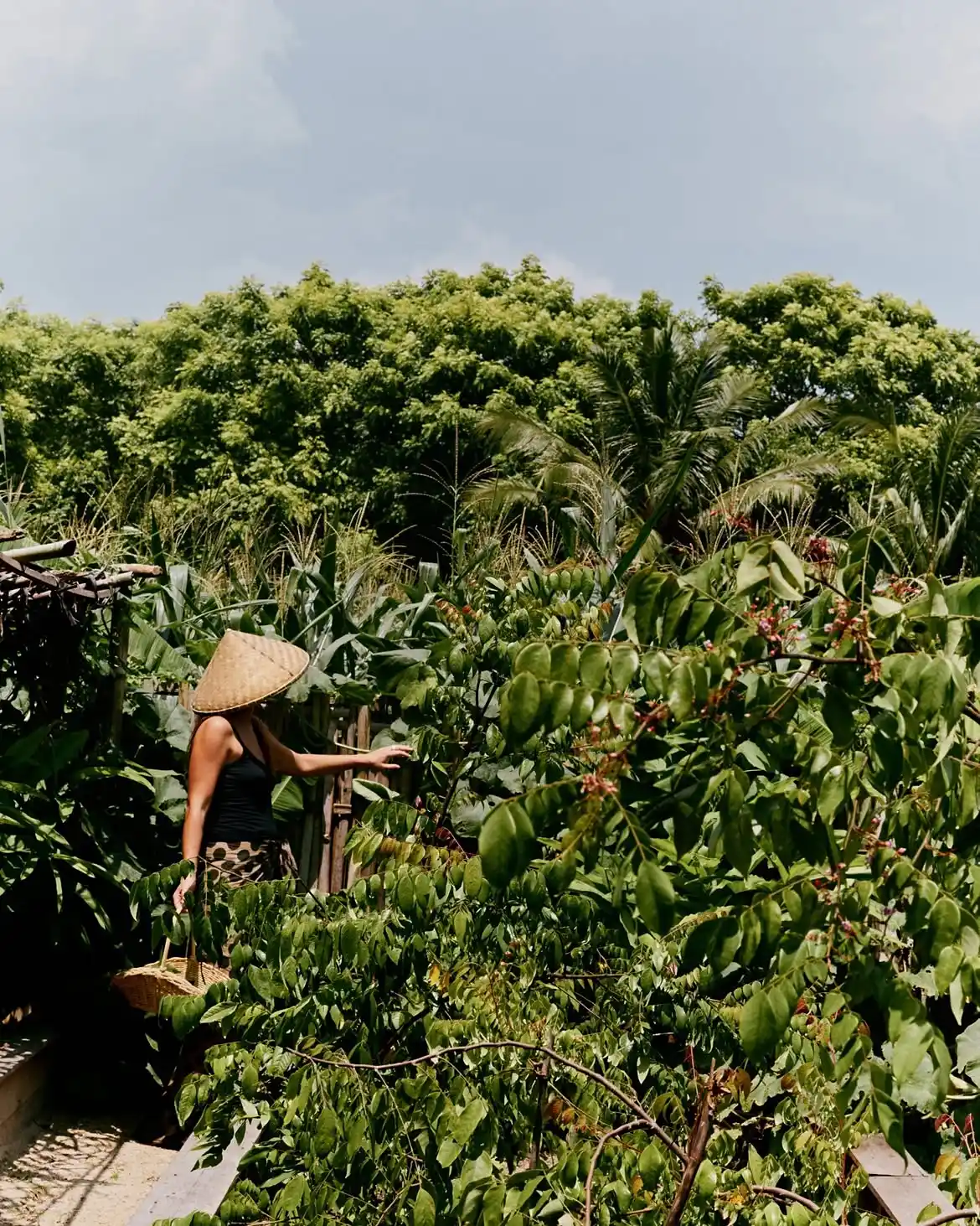 Kuara Lombok