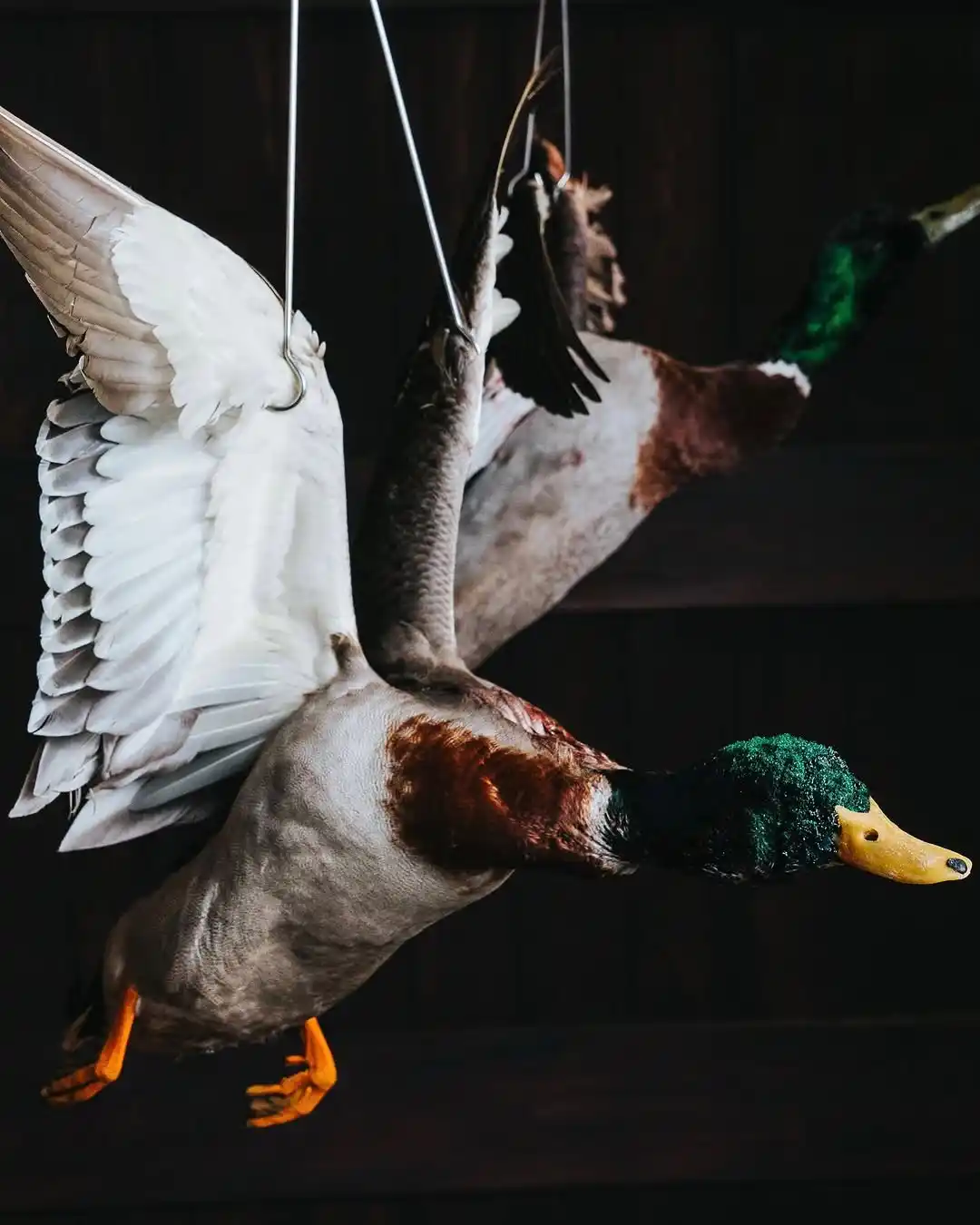 Amisfield Restaurant