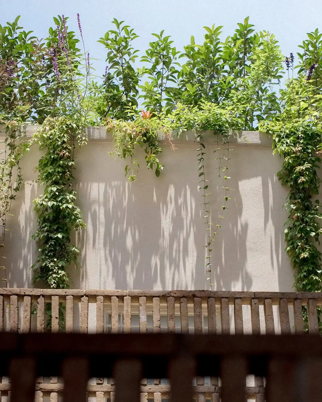 Hotel Casa Cuenca