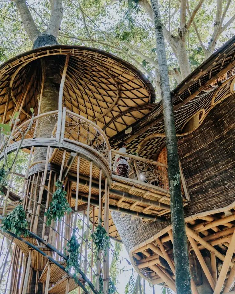 Bambu Indah