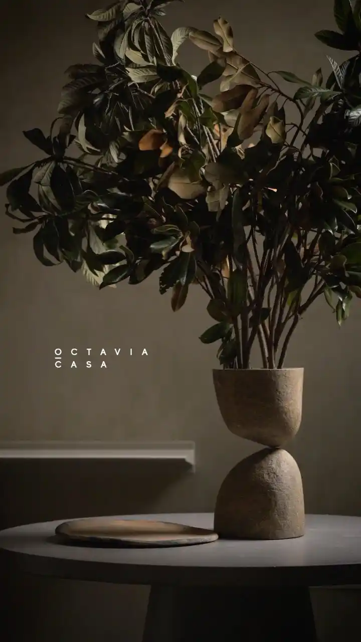 Octavia Casa