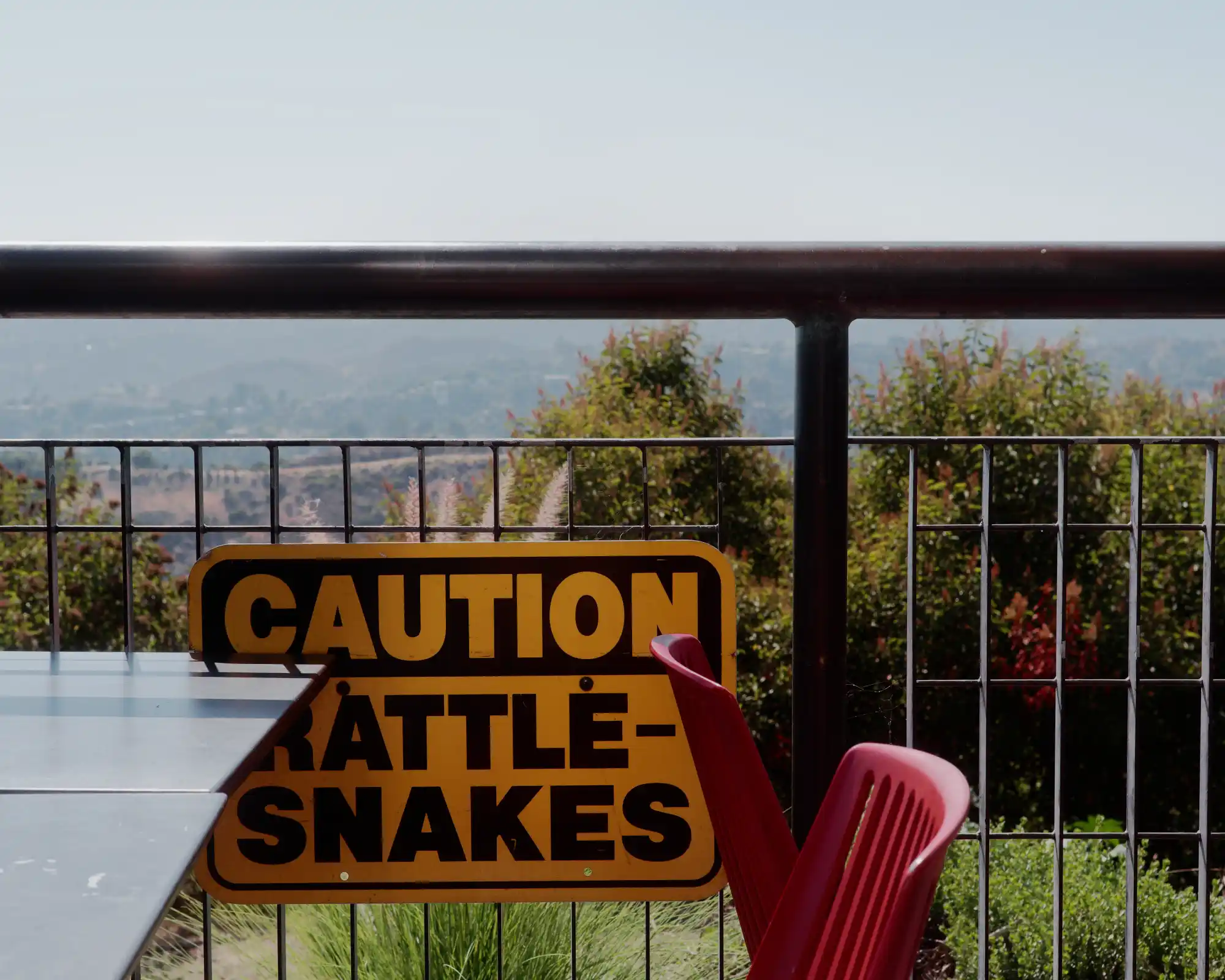 Rattle snake warning at Griffith Observatory — The Cool List guide to LA