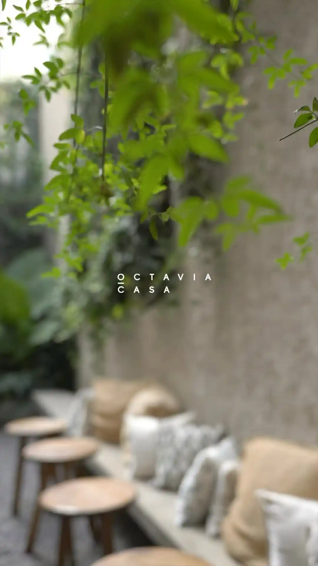 Octavia Casa