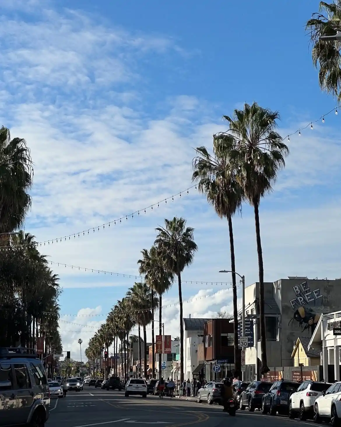 Abbot Kinney — The Cool List to LA