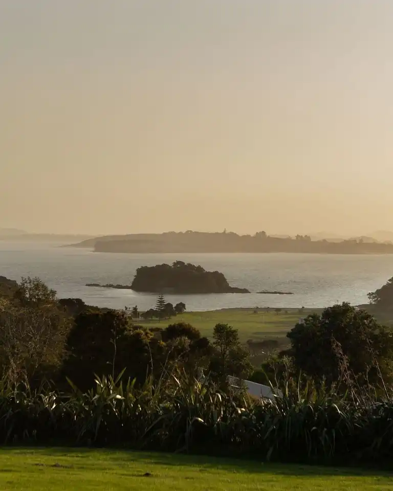 Cable Bay Vineyard