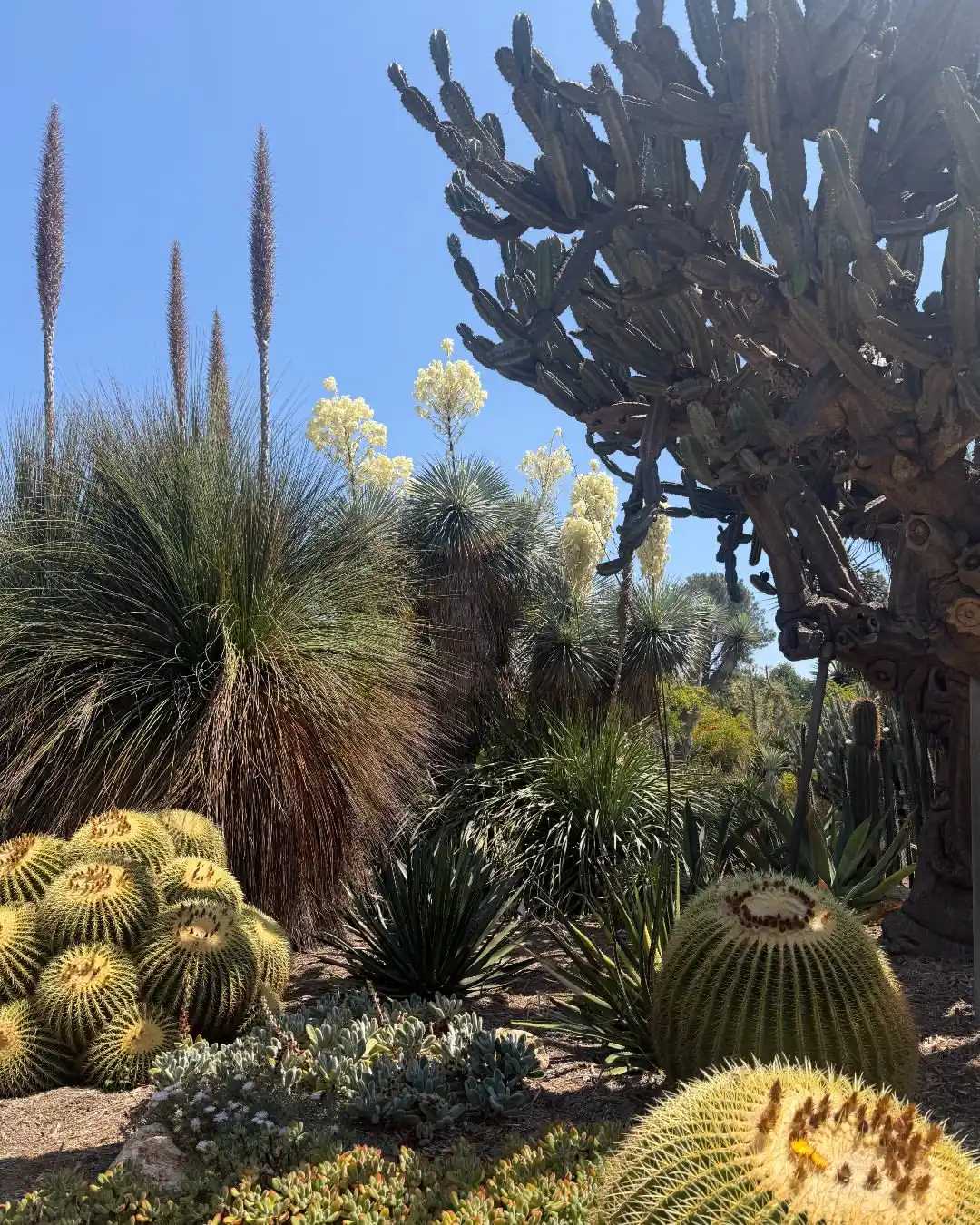 The Huntington Library