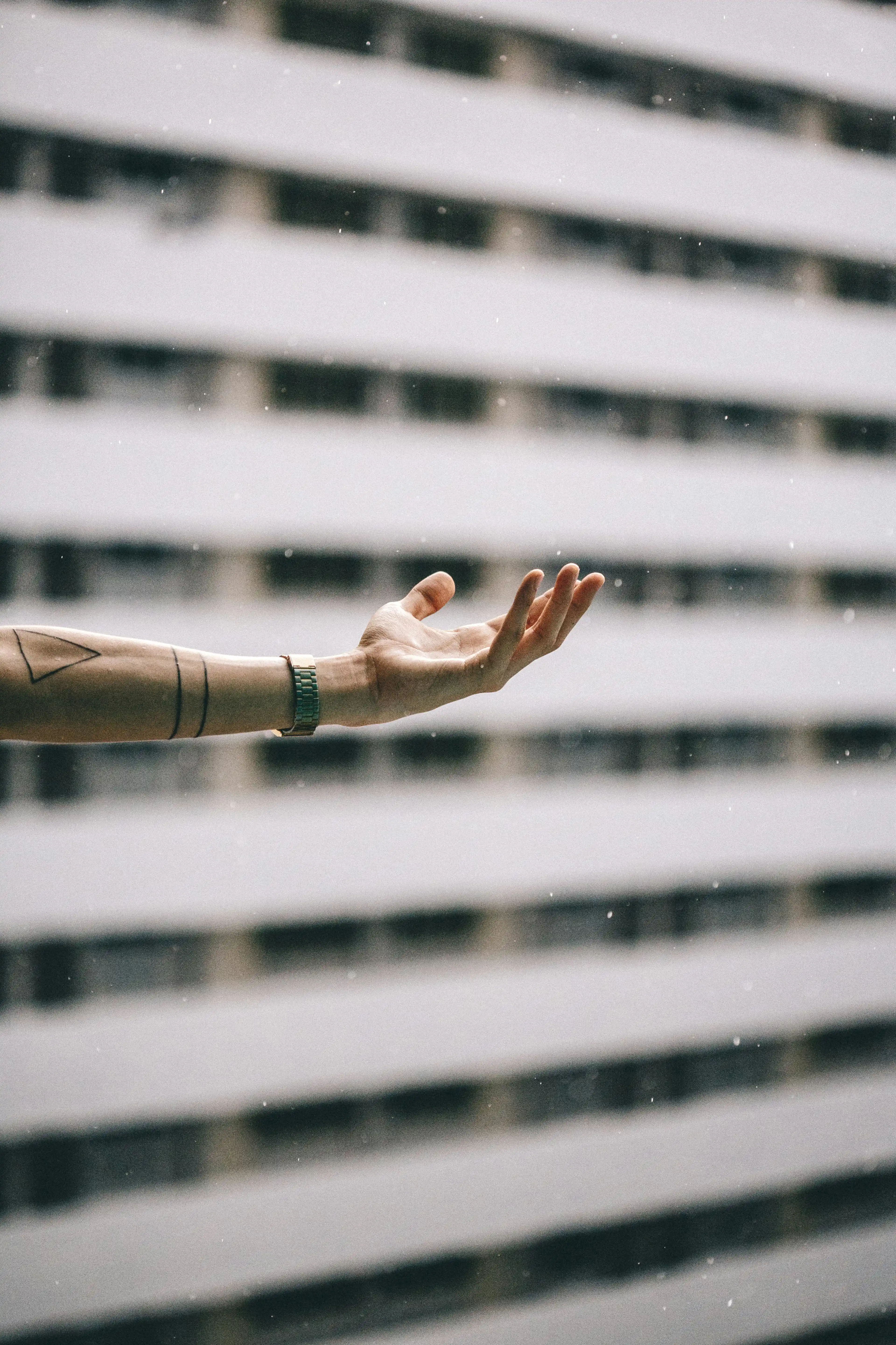 Best things to do on a rainy day in Auckland