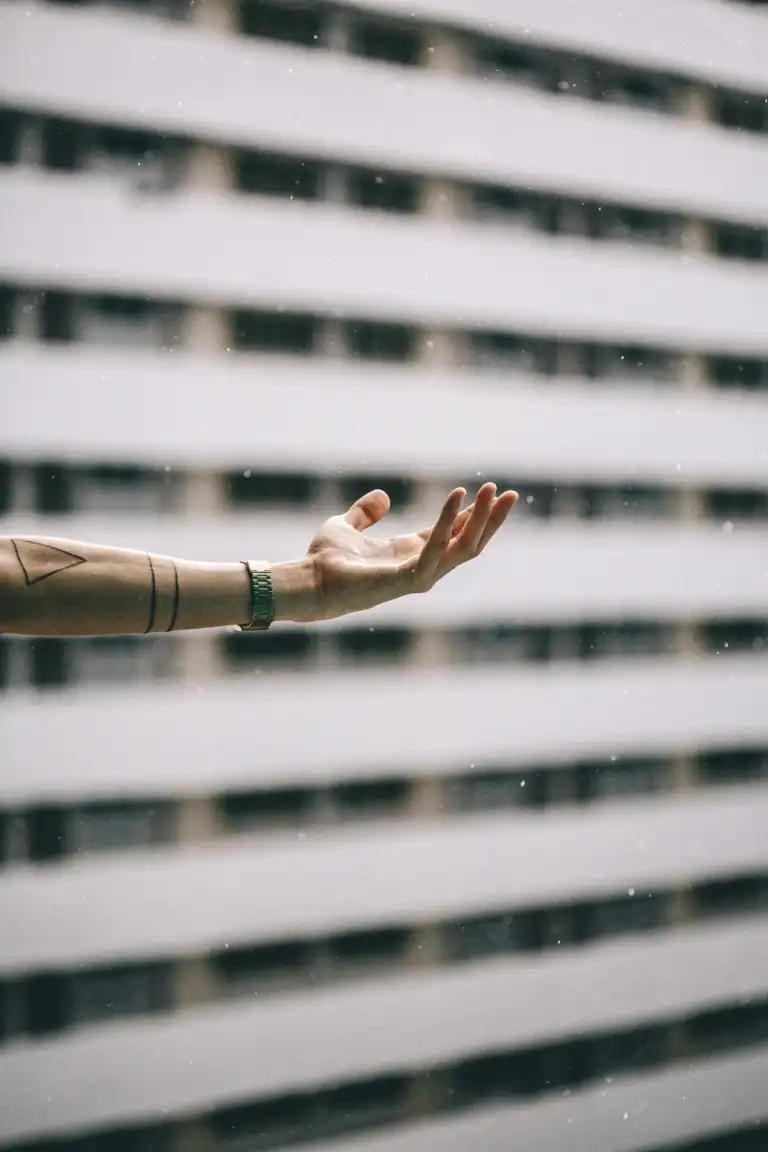 Best things to do on a rainy day in Auckland