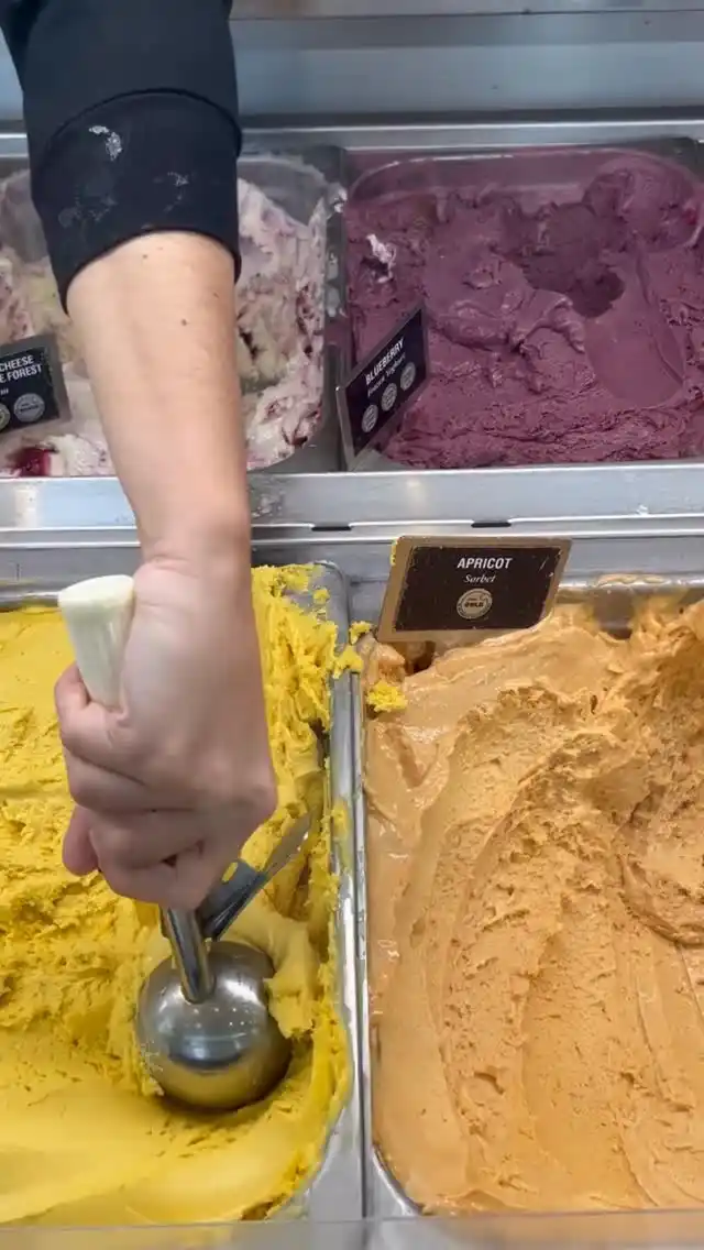 Patagonia Chocolates