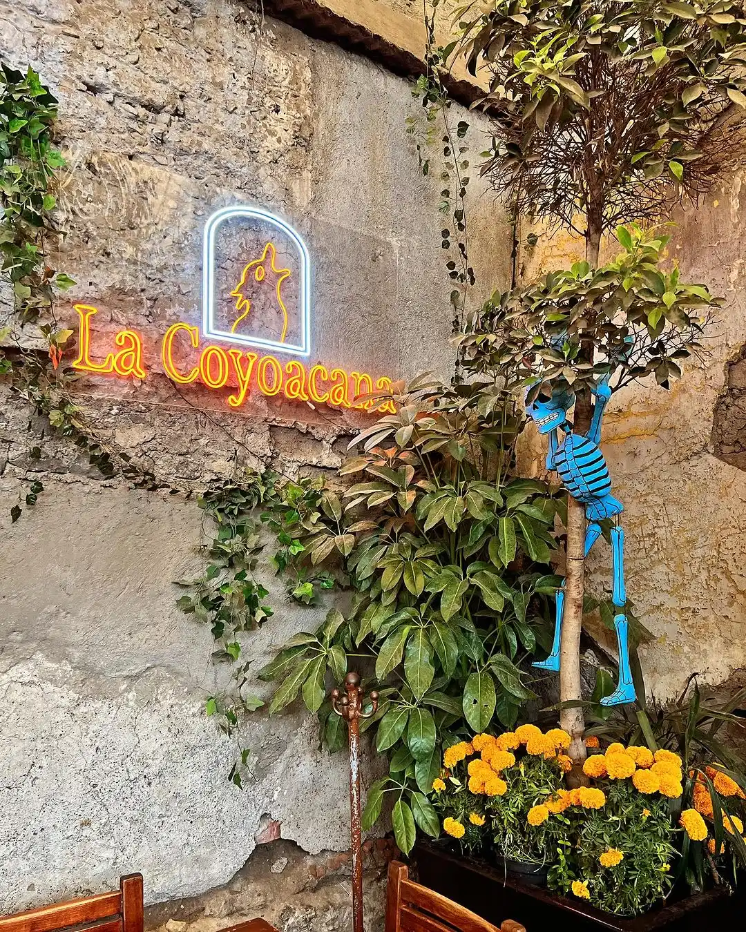 La Coyoacana