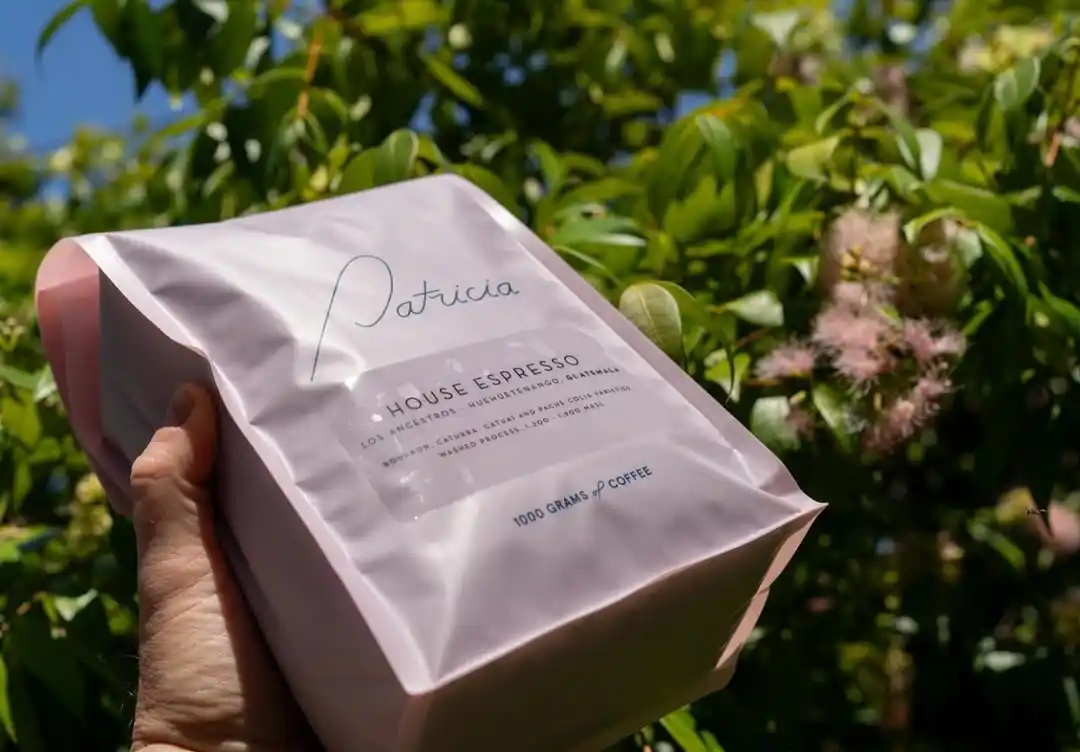 Patricia Coffee Brewers