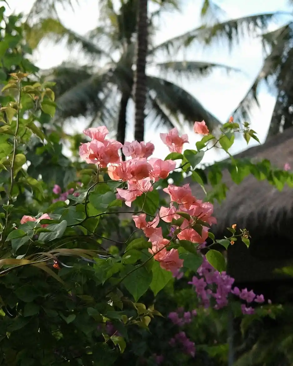 Mana Eco Retreat