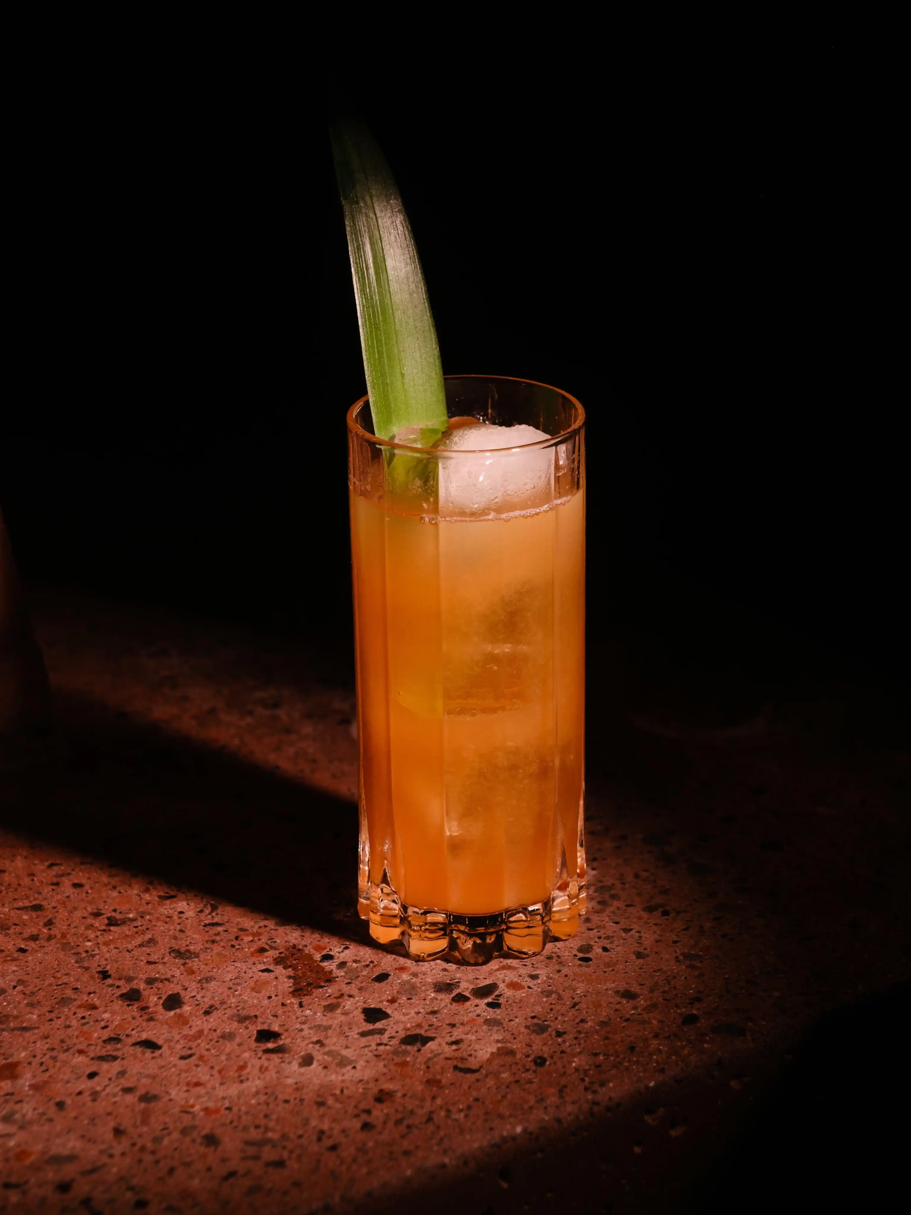 tlecan mezcal bar