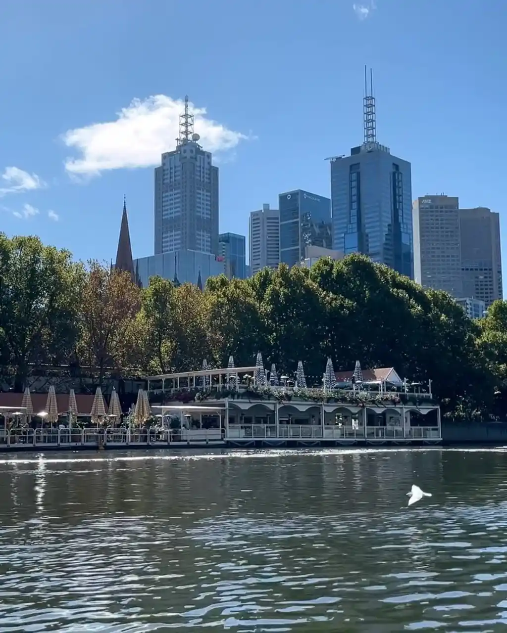 Afloat, Melbourne CBD, Melbourne | TheCoolList