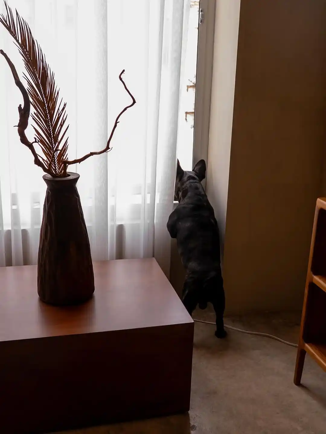 Hotel Oculto