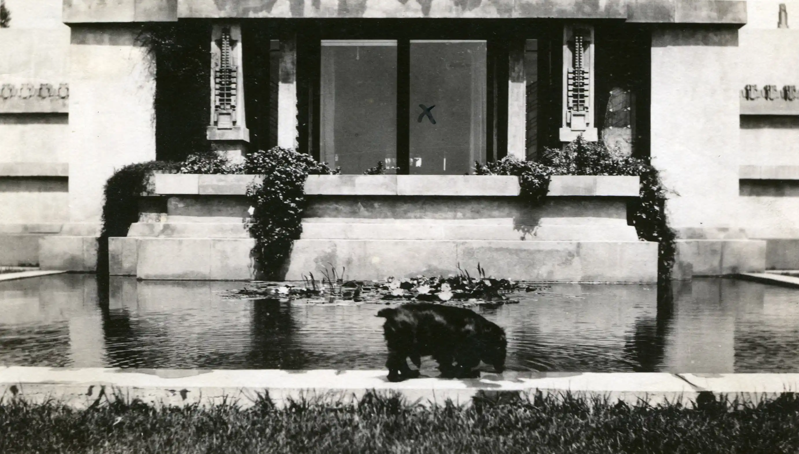Hollyhock House