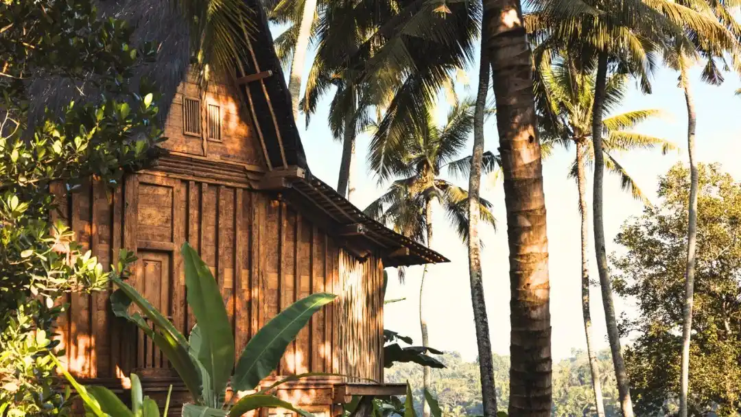 Bambu Indah