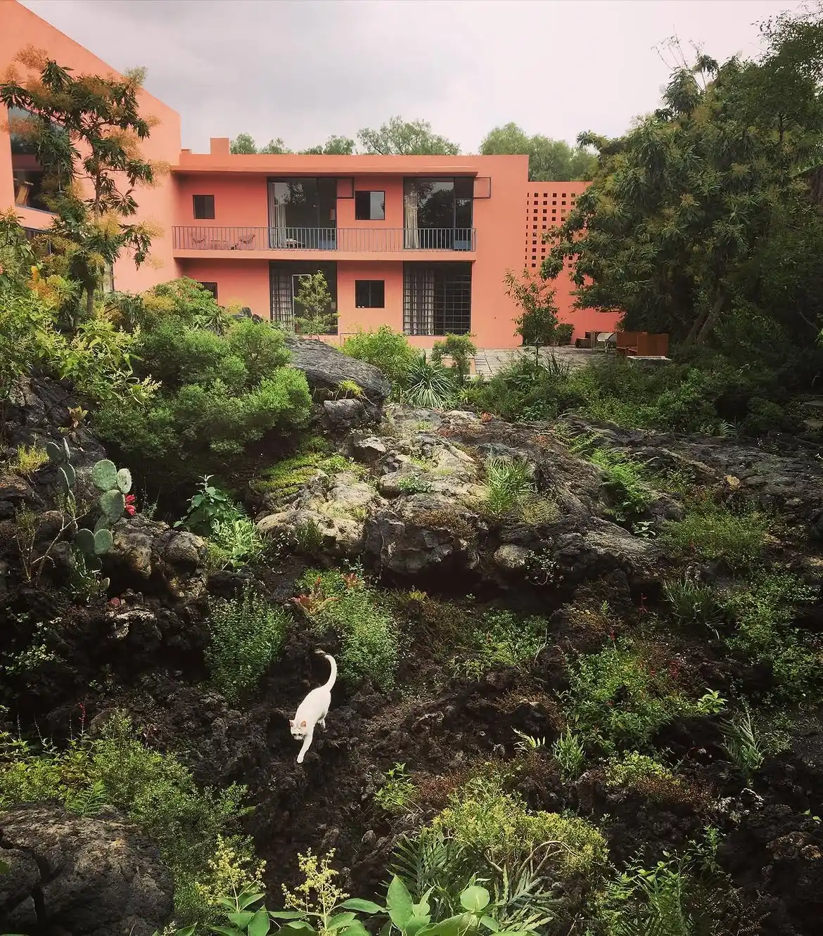 Casa Pedregal
