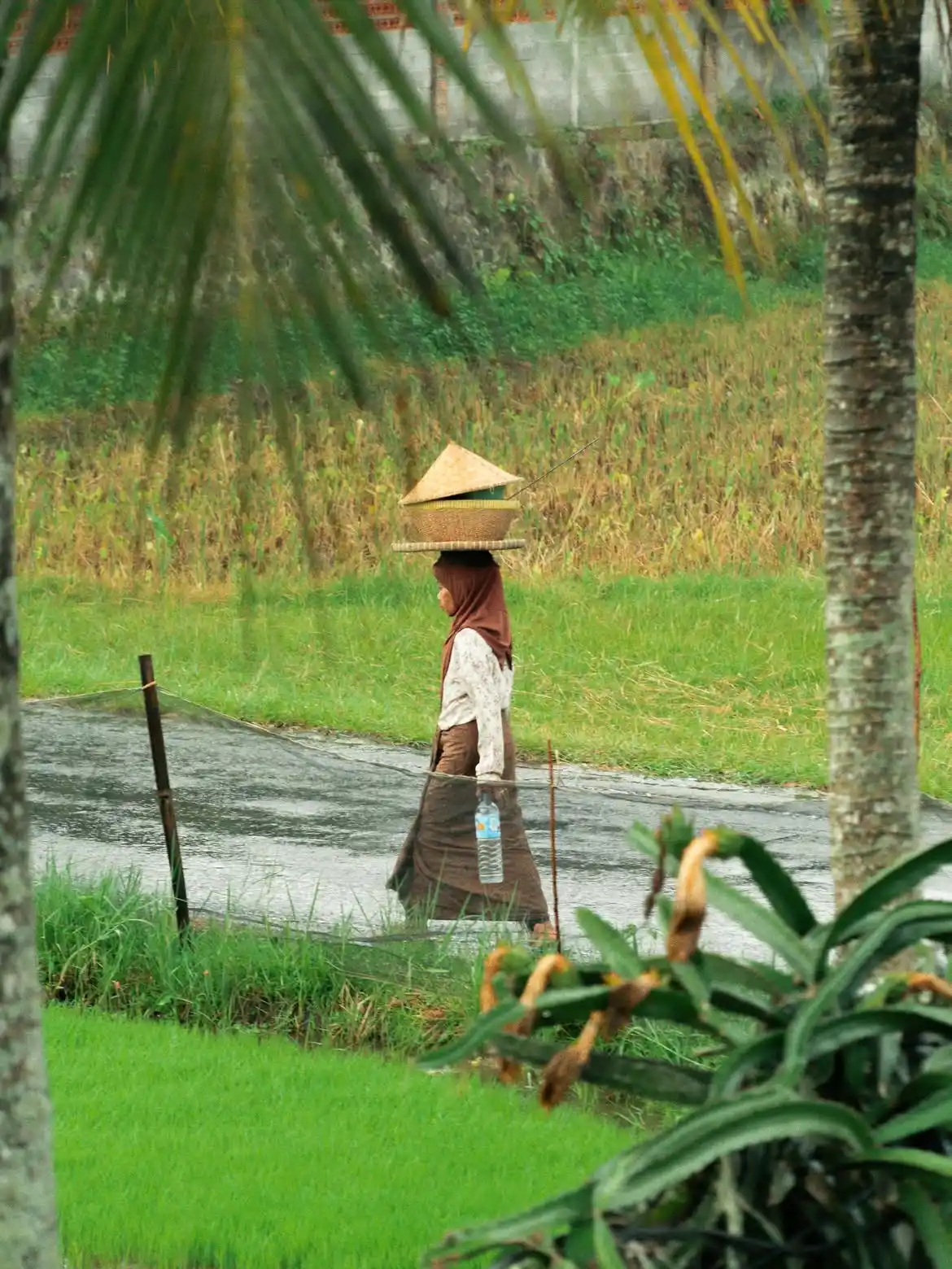 Soera Eco Retreat