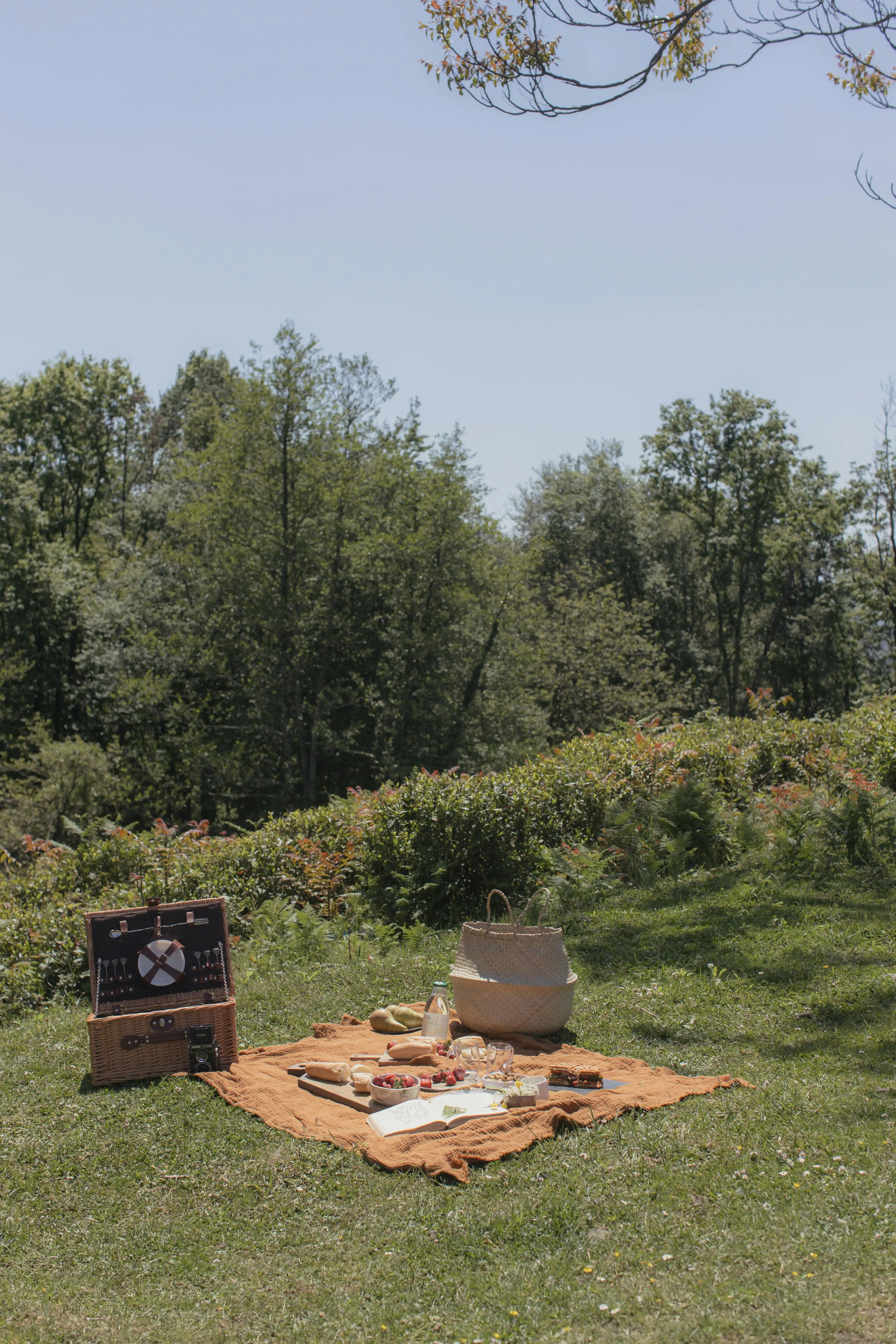 The best picnic spots in Auckland
