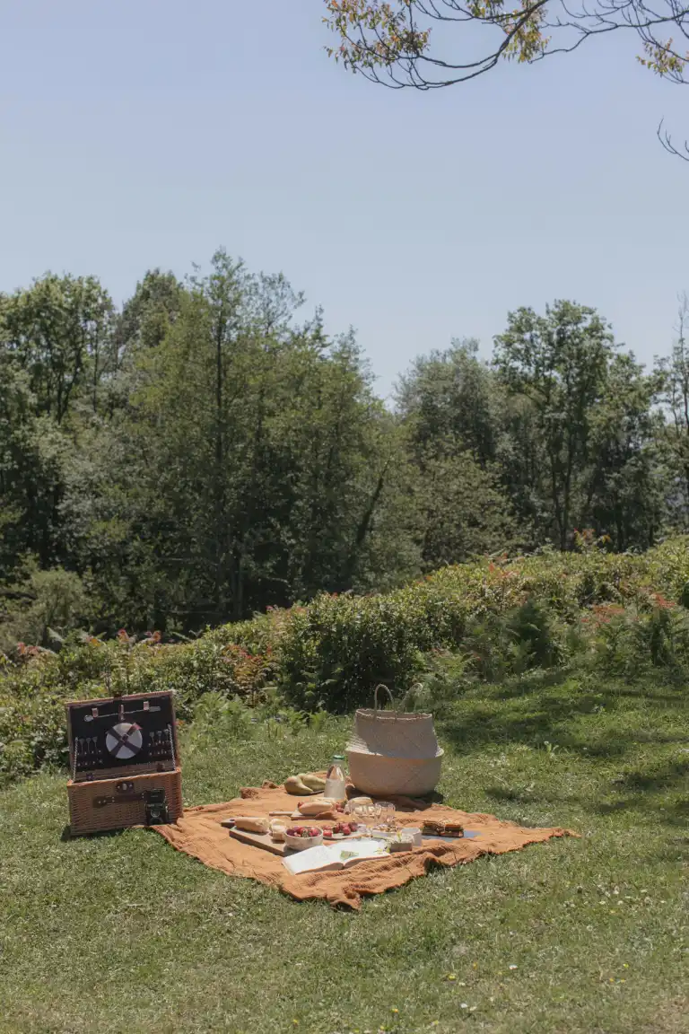 The best picnic spots in Auckland