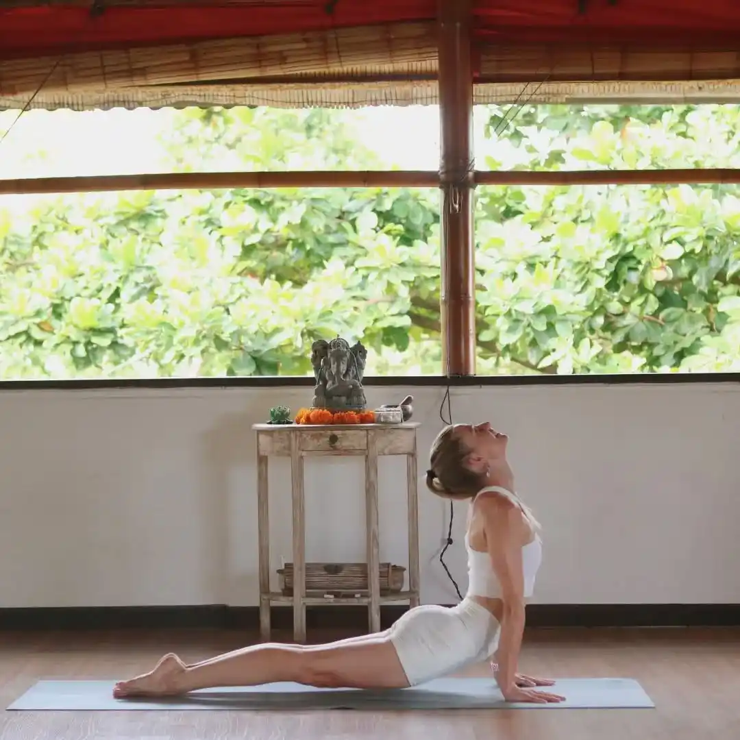 Serenity Eco Guesthouse