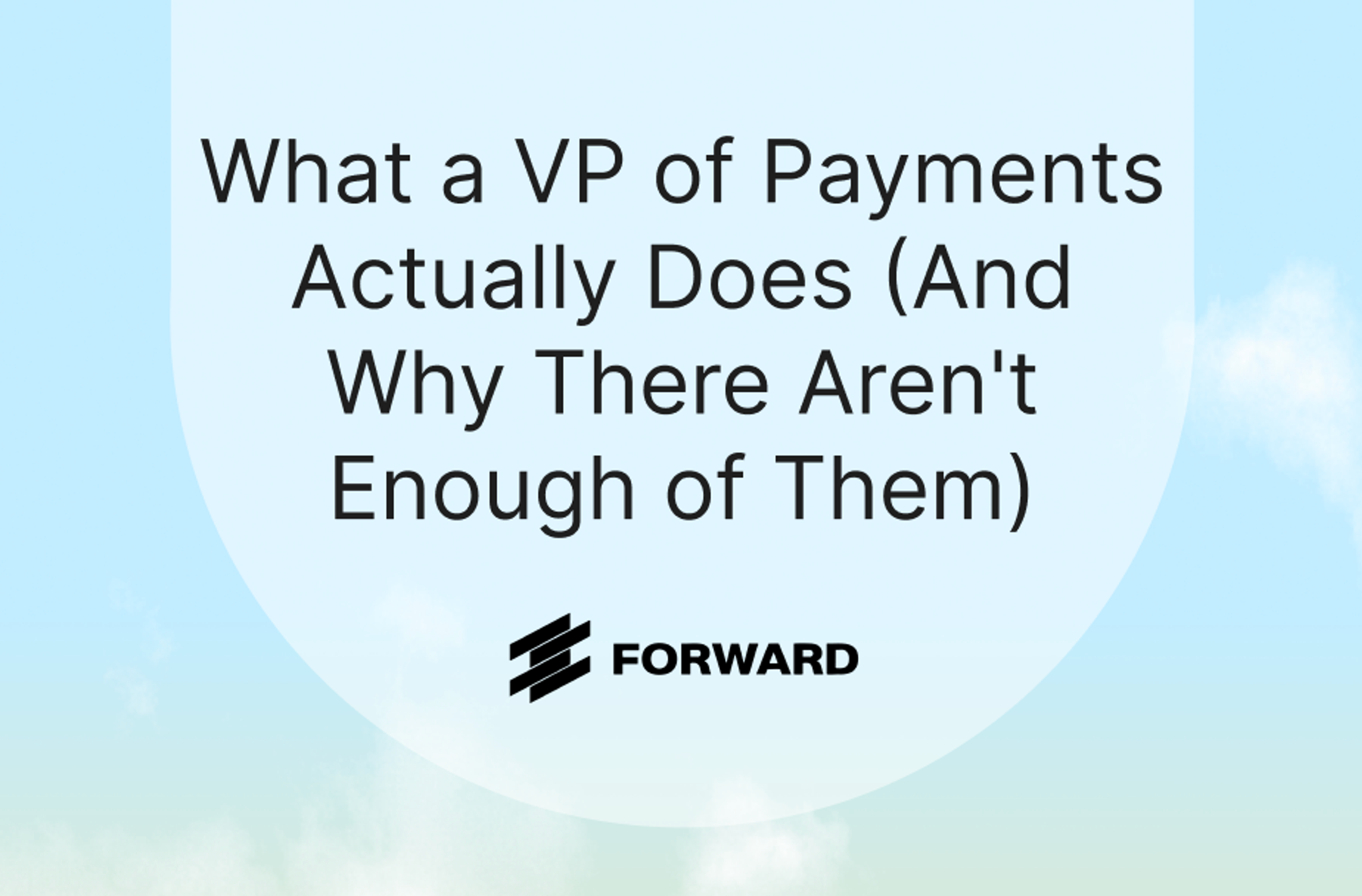 What a VP of Payments Actually Does (And Why There Aren't Enough of Them)