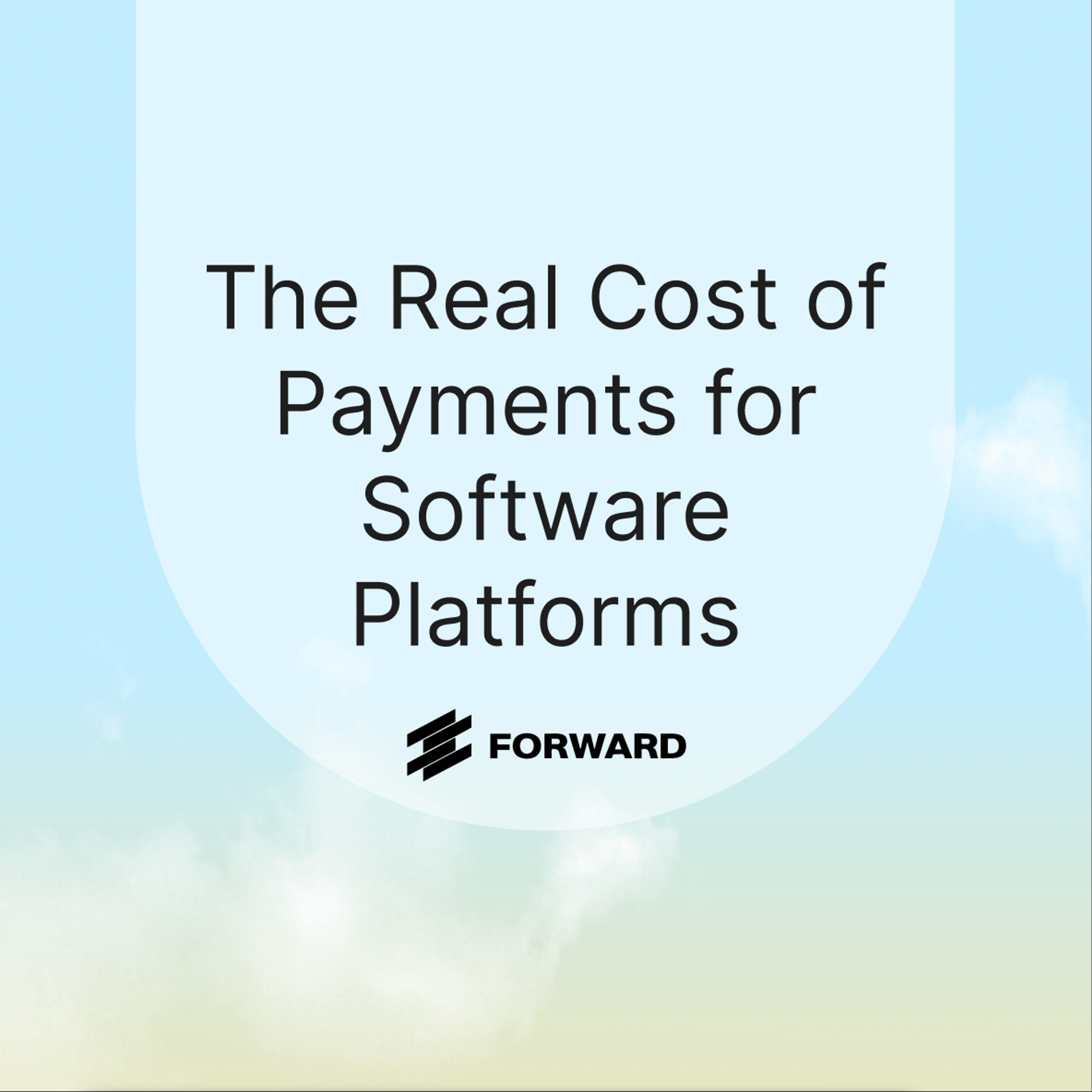 The Real Cost of Payments for Software Platforms