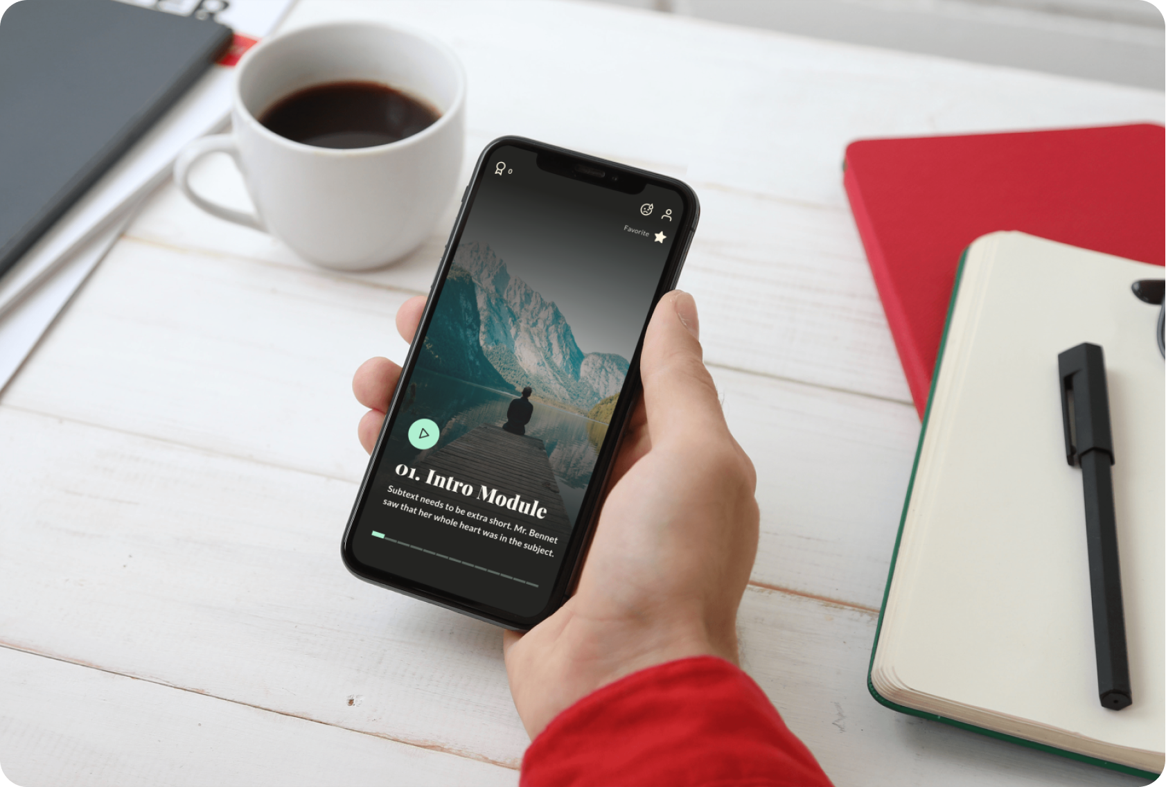 UX/UI Design