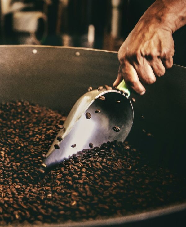 The History of Coffee: From Legend to Your Cup
