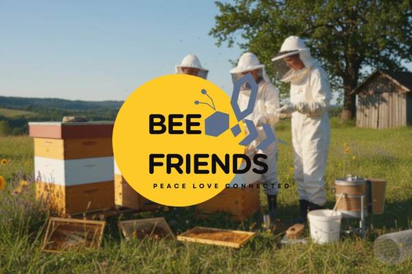 BeeFriends Projekt
