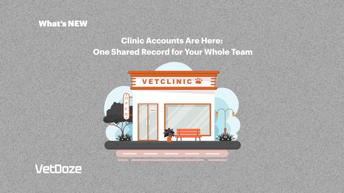Illustrated veterinary clinic team collaborating around a shared digital record, with the text 'One Shared Record for Your Whole Team' — VetDoze Clinic Accounts feature announcement.