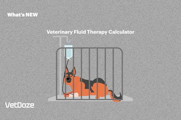 Veterinary Fluid Therapy Calculator